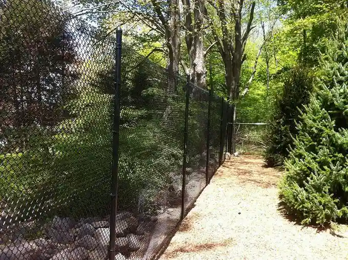 Black vinyl-coated chain-link fence running through a wooded side yard